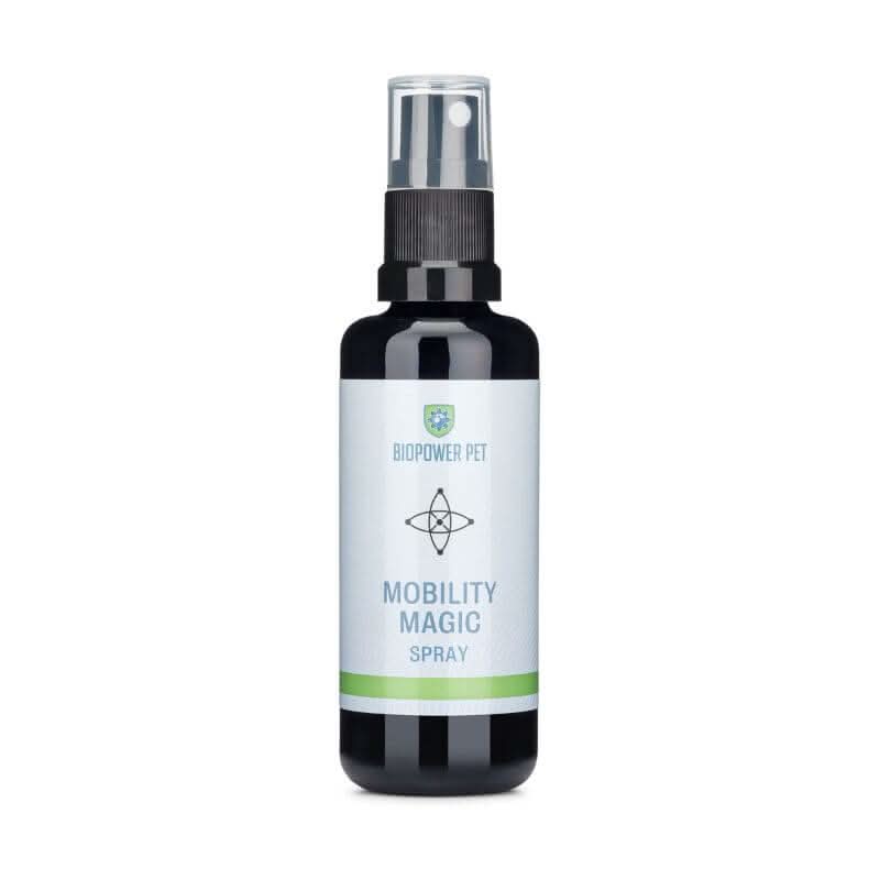 joint support spray dogs cats holistic