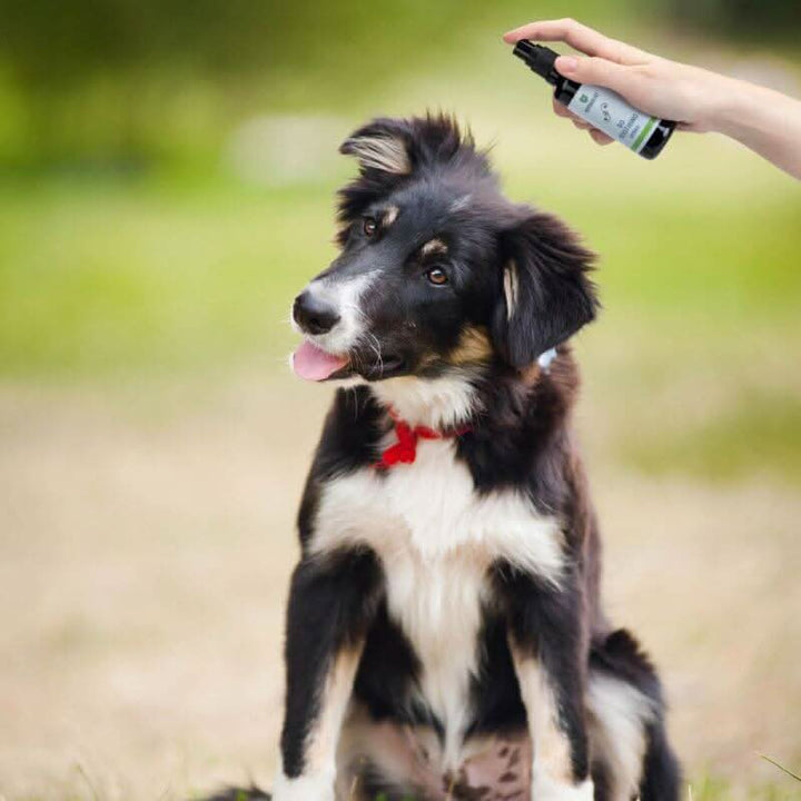 BioPower Pet So Soothing Bundle