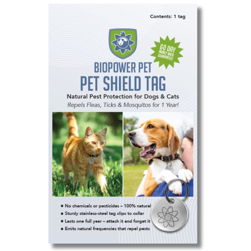 Natural Flea Tick Prevention for Dogs