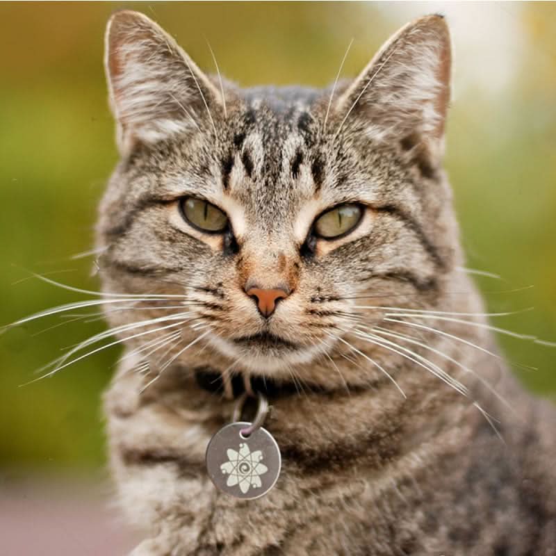 Holistic Natural Pest Repellent Tag for Cats