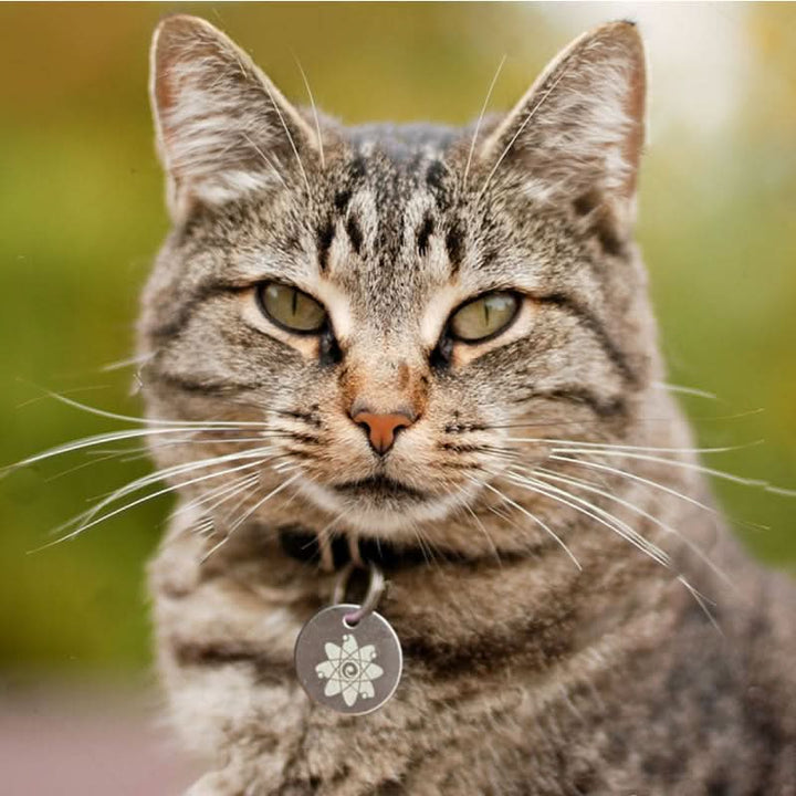 Holistic Natural Pest Repellent Tag for Cats