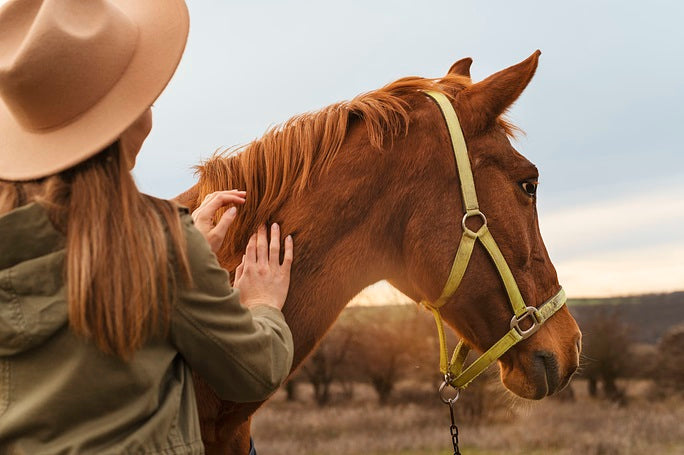 Eco-Friendly Fly Control: How Natural Repellents Can Support a Greener Stable