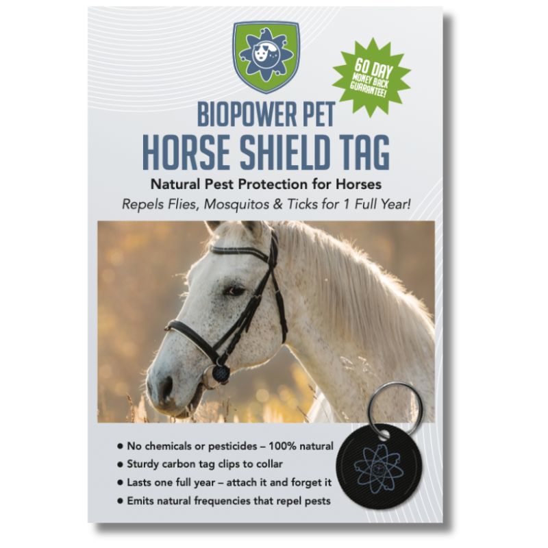 holistic fly spray for horses