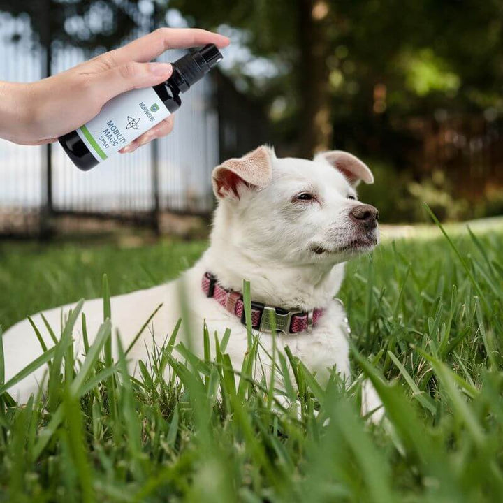 BioPower Pet Mobility Magic Spray