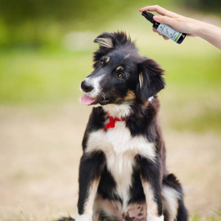 BioPower Pet So Soothing Spray