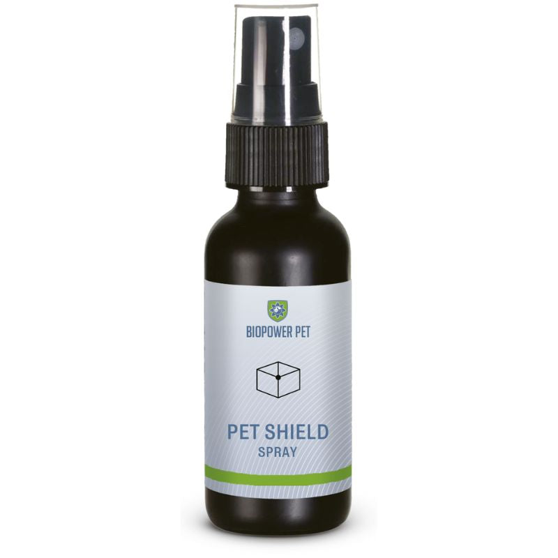 natural tick repellent for dogs