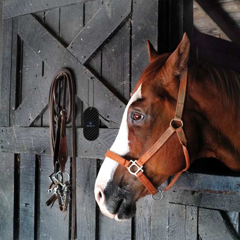 natural horse stable fly control