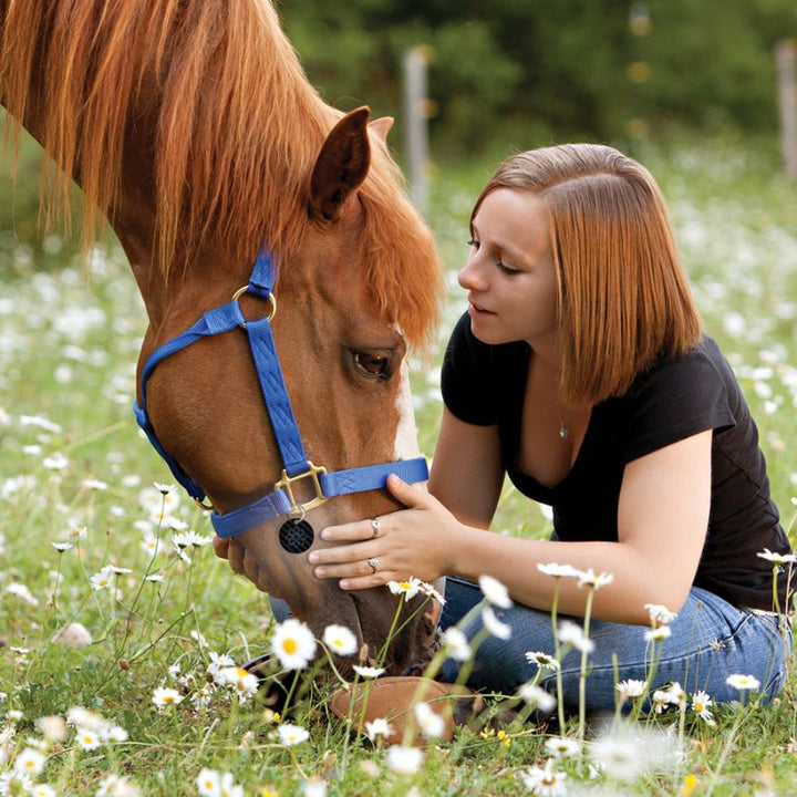 natural fly spray repellent for horses