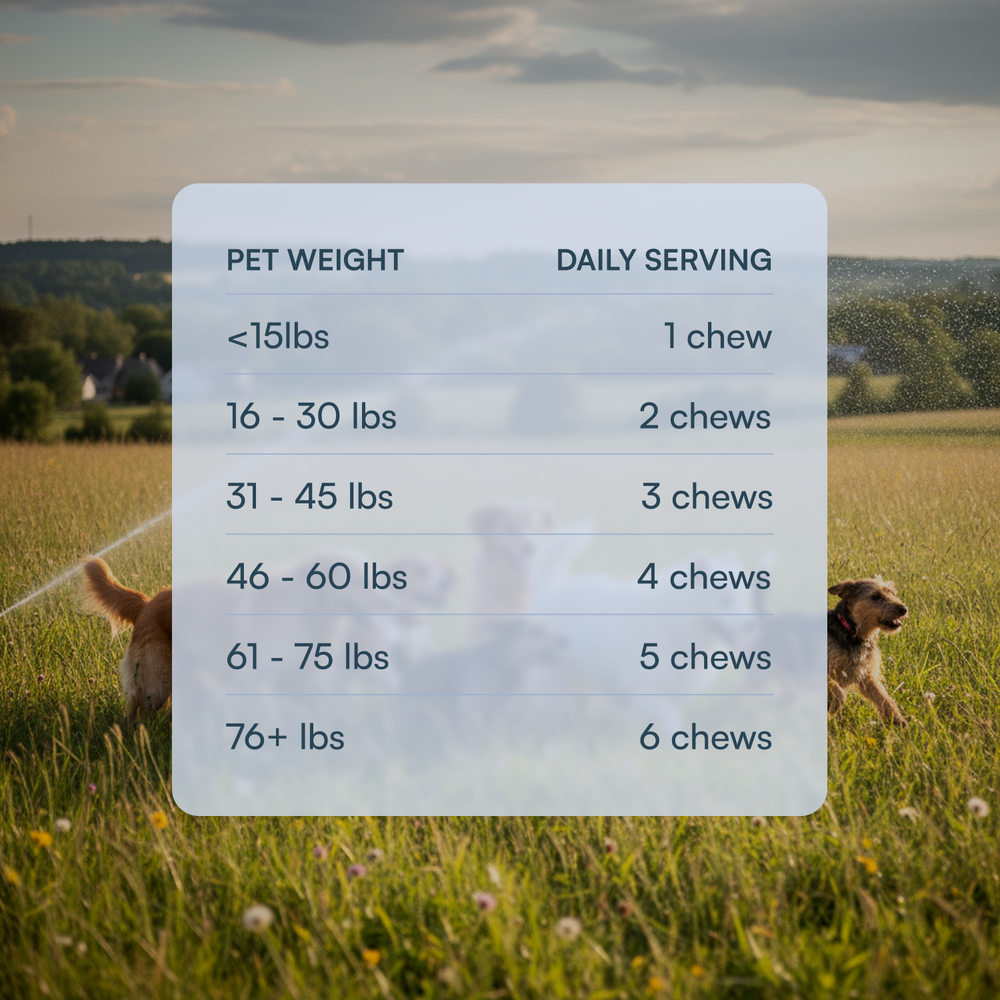 Natural Flea & Tick Chews for Dogs & Cats
