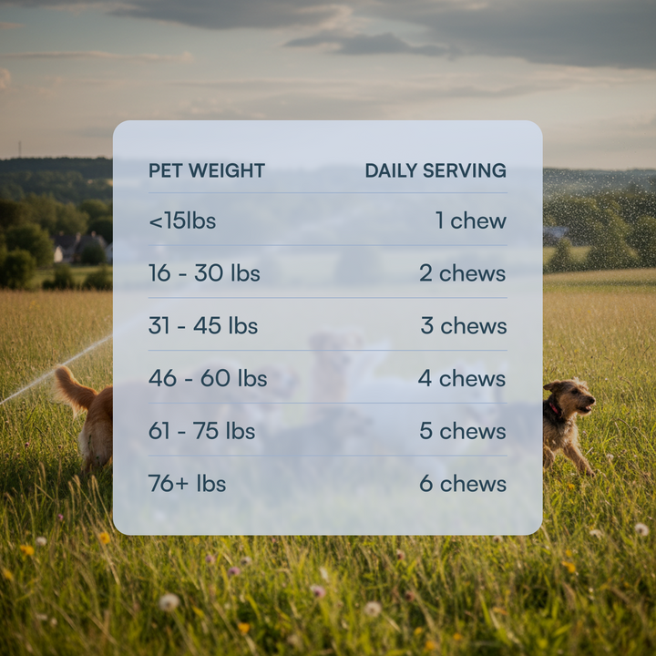 Natural Flea & Tick Chews for Dogs & Cats

