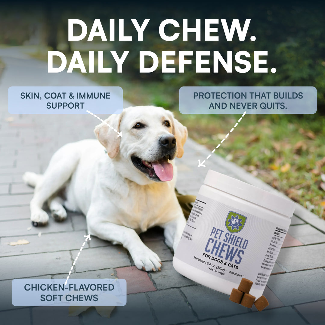 Natural Flea & Tick Chews for Dogs & Cats