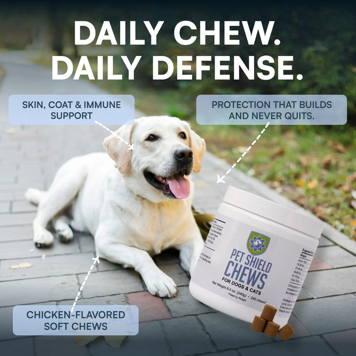 Natural Flea & Tick Chews for Dogs & Cats