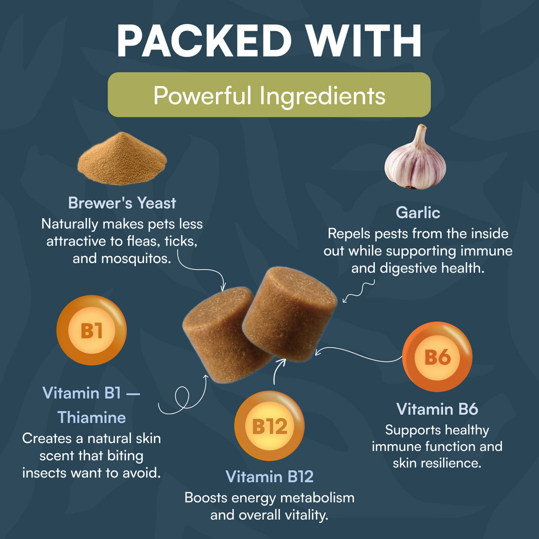 Natural Flea & Tick Chews for Dogs & Cats