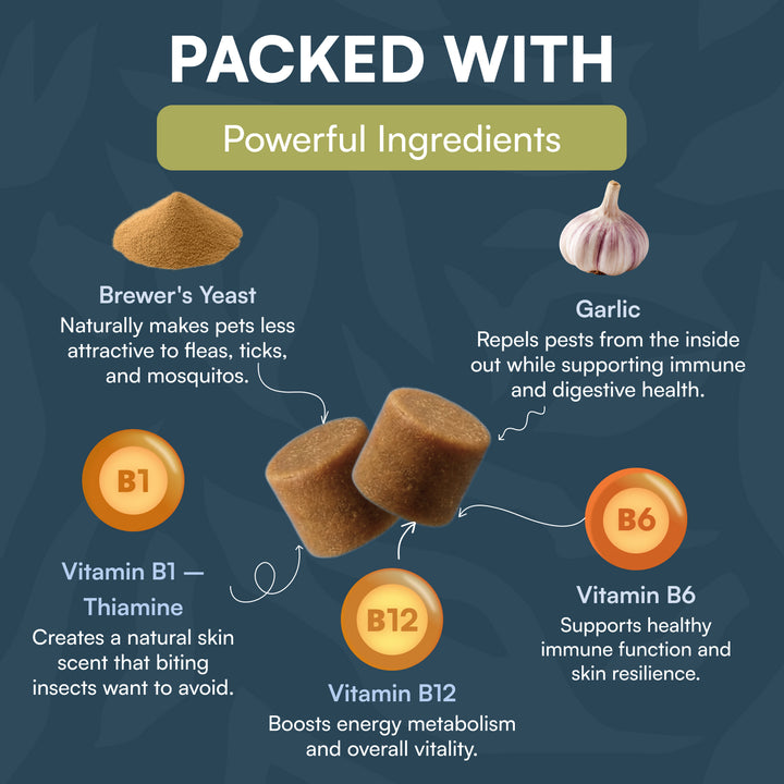 Natural Flea & Tick Chews for Dogs & Cats