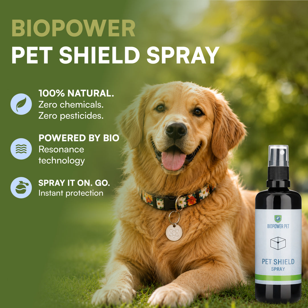 natural flea repellent spray for cats and dogs