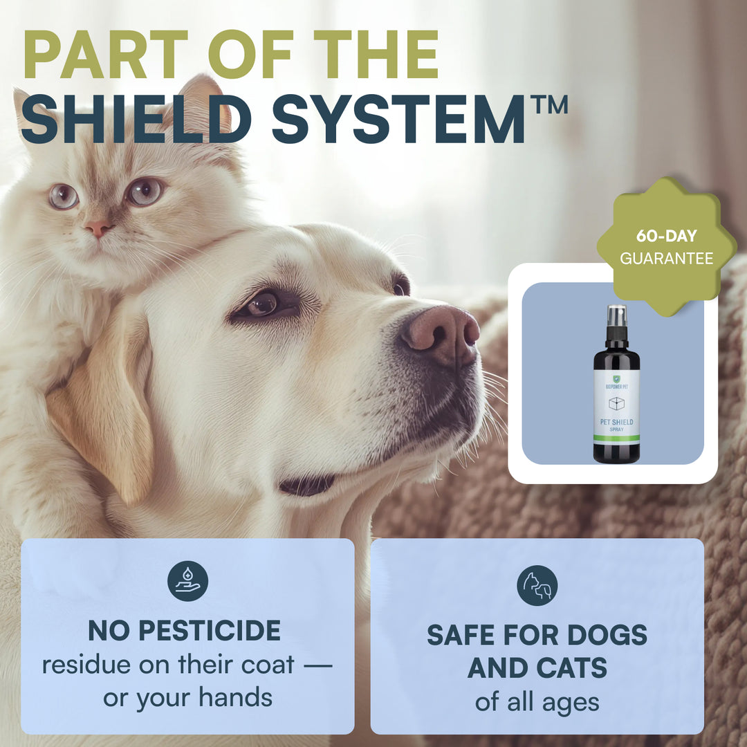 natural flea repellent spray for cats and dogs
