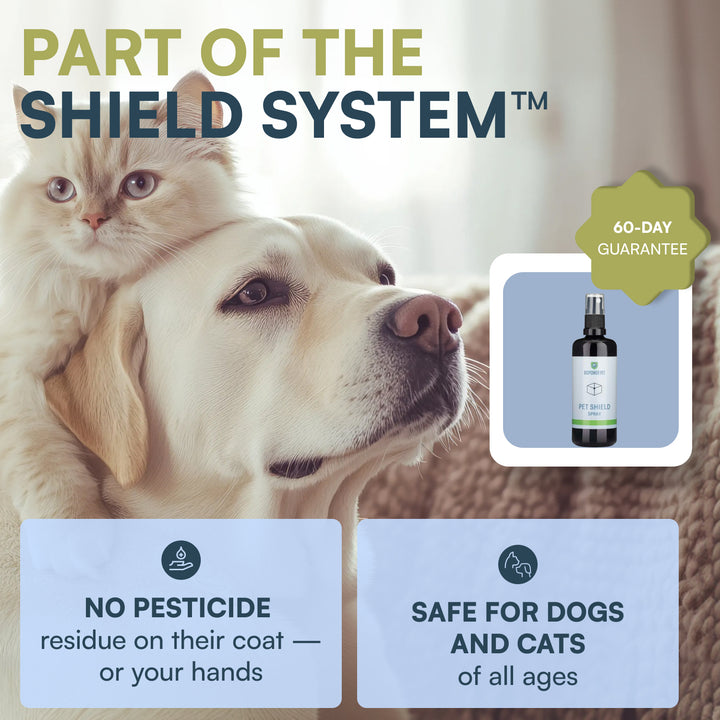 natural flea repellent spray for cats and dogs
