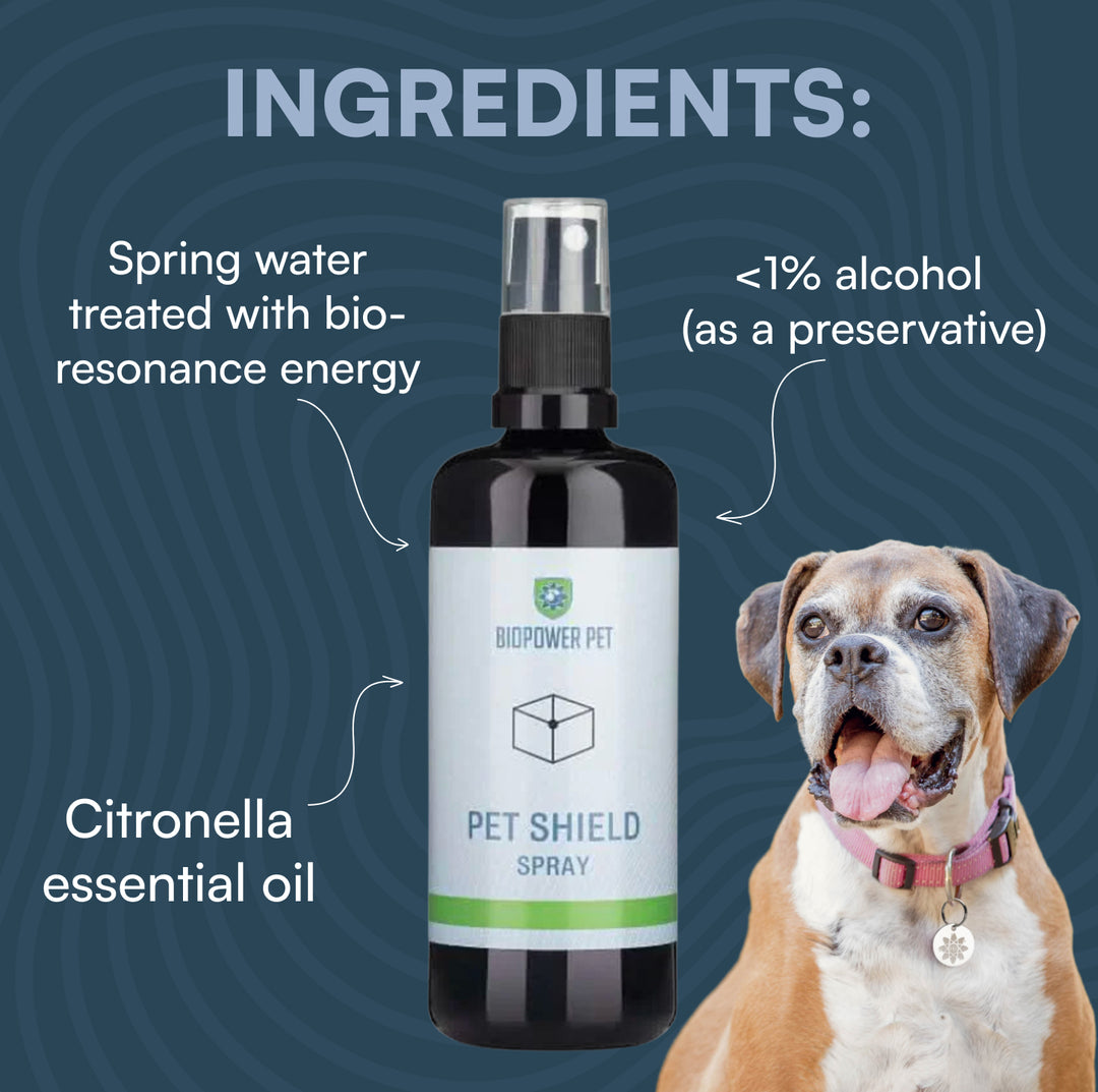 natural flea repellent spray for cats and dogs