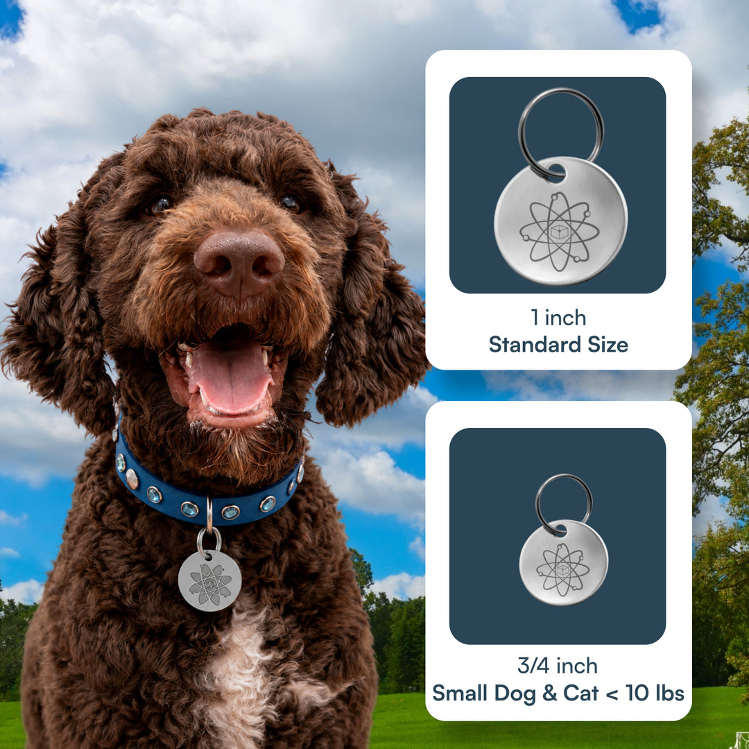 Natural Flea Collar Tag for Pets