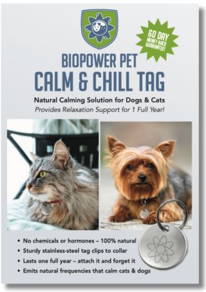 natural anxiety relief medication for dogs cats