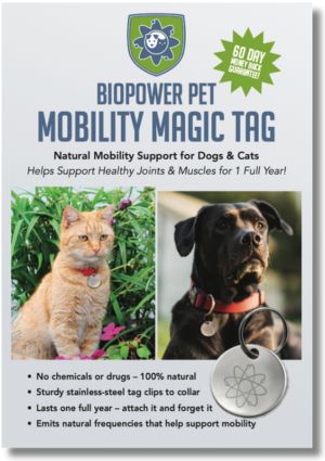 holistic joint support supplement for dogs cats