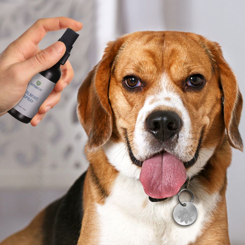 Natural Calming Spray for Dogs Cats